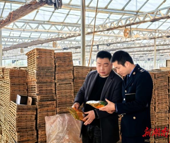郴州税务:税惠赋能 助力"智慧秧苗"茁壮成长